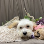 1/4　グルーミング