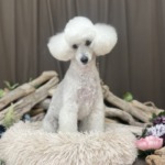 1/5　グルーミング