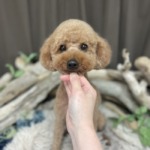 1/7　グルーミング