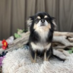 11/13　グルーミング