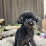 1/15　トリミング