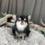 1/25　グルーミング