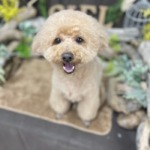 1/26　グルーミング