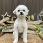 1/29　グルーミング