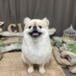 2/12　グルーミング