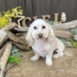 2/20　グルーミング