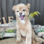 2/21　グルーミング