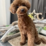 2/24　グルーミング