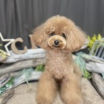 2/25　グルーミング