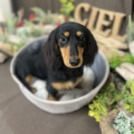 2/26　グルーミング　