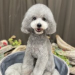 3/21　グルーミング