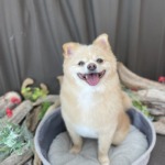 3/22 グルーミング