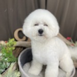 3/5　グルーミング