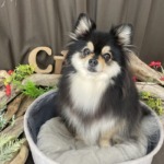 3/6　グルーミング