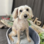 3/7　グルーミング