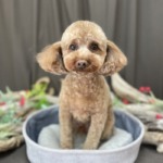 3/8　グルーミング