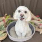 3/9　グルーミング