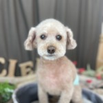 3/10　グルーミング