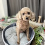 3/11　グルーミング