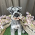 4/9　グルーミング