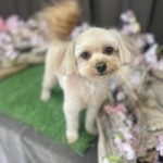 4/10　グルーミング