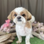 4/19　グルーミング