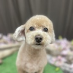 4/20　グルーミング