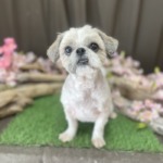 4/22　グルーミング