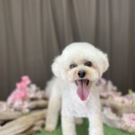 4/24　グルーミング