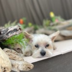 4/29　グルーミング