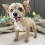 4/30　グルーミング