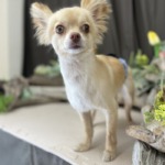 5/1　グルーミング