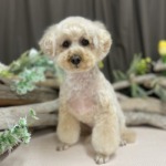 5/2　グルーミング