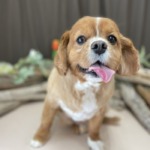 5/3　グルーミング