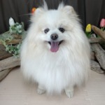 5/5　グルーミング