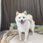 5/10 グルーミング