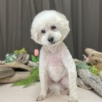 5/27　グルーミング