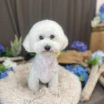 5/28グルーミング