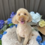 5/29　グルーミング