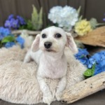 5/30　グルーミング