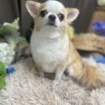 5/31　グルーミング