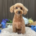 6/1　グルーミング