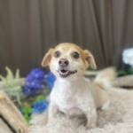 6/4　グルーミング