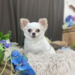 6/8　グルーミング