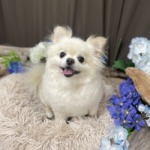 6/23　グルーミング