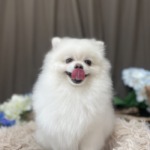 6/24　グルーミング