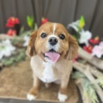 6/28　グルーミング