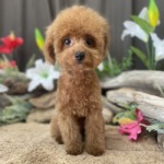 6/29　グルーミング