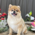 7/1　グルーミング