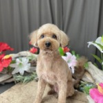 7/2　グルーミング